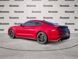 Used 2020 Ford Mustang Coupe w/ Equipment Group 101A image 3