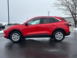 Used 2024 Ford Escape Active image 4