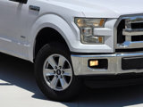 Used 2015 Ford F150 XLT w/ Equipment Group 301A Mid image 4