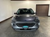 Used 2022 Ford Escape Titanium image 3
