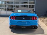 Certified 2022 Ford Mustang Premium w/ Wheel & Stripe Package image 5
