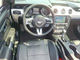 Used 2016 Ford Mustang Premium image 2