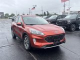 Used 2020 Ford Escape SEL image 3