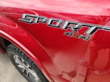 Used 2019 Ford F150 XLT w/ Equipment Group 302A Luxury image 4