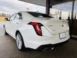 New 2025 Cadillac CT4 Premium Luxury image 4