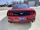 Used 2016 Ford Mustang Premium w/ Equipment Group 201A image 5