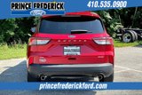 Used 2022 Ford Escape SE w/ SE Sport Appearance Package image 4