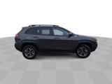 Used 2019 Jeep Cherokee Trailhawk w/ Cold Weather Group image 2
