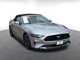 Used 2023 Ford Mustang Premium image 3