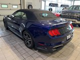 Used 2019 Ford Mustang Convertible w/ Equipment Group 101A image 6