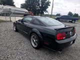 Used 2009 Ford Mustang GT image 6
