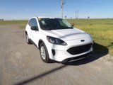 Used 2022 Ford Escape SE image 4