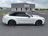 Used 2017 Ford Mustang GT Premium w/ Equipment Group 401A image 6