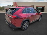 Certified 2023 Toyota RAV4 XLE Premium image 5