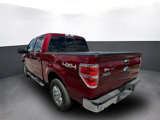 Used 2014 Ford F150 XLT w/ Equipment Group 302A Luxury image 4