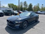 Used 2018 Ford Mustang Premium w/ Equipment Group 201A image 5