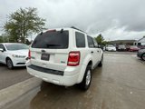 Used 2010 Ford Escape XLT image 3
