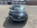 Used 2023 Cadillac CT4 Luxury w/ Sun And Sound Package image 3
