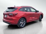 Used 2023 Ford Escape ST-Line w/ Equipment Group 301A image 4