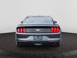Used 2018 Ford Mustang Premium image 5