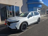 New 2025 Honda CR-V Sport image 2