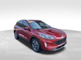 Used 2021 Ford Escape SEL image 3