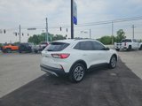 Used 2020 Ford Escape SEL image 6
