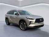 New 2025 INFINITI QX60 Luxe w/ Lighting Package (N94) image 2