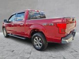 Used 2019 Ford F150 XLT w/ Equipment Group 302A Luxury image 4