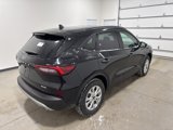 New 2025 Ford Escape Active w/ Active Premium Tech Pack image 4