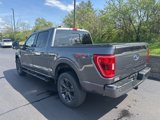 Used 2023 Ford F150 XLT w/ Equipment Group 302A High image 3