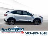 Used 2022 Ford Escape SE w/ Convenience Package image 6