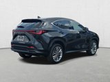 New 2025 Lexus NX 350 AWD w/ Accessory Package (2T) image 5