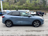 Used 2024 Ford Escape ST-Line image 4