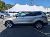 Used 2017 Ford Escape SE w/ SE Cold Weather Package image 6
