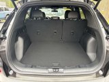 New 2025 Ford Escape ST-Line w/ Tech Pack #1 image 3