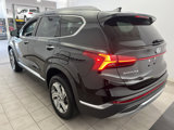 Used 2023 Hyundai Santa Fe SEL w/ Premium Package image 4