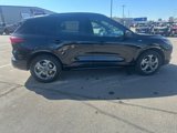 Used 2024 Ford Escape ST-Line image 2