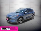 Used 2020 Ford Escape SEL image 3
