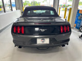 Used 2017 Ford Mustang Premium image 5