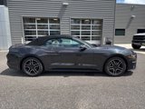 Used 2023 Ford Mustang Premium image 2