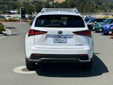 Used 2021 Lexus NX 300h AWD w/ Comfort Package image 4