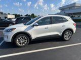 Used 2020 Ford Escape SE image 2
