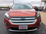 Used 2019 Ford Escape SE image 3