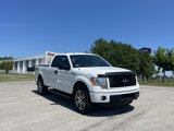 Used 2014 Ford F150 STX w/ Equipment Group 201A Mid image 3