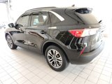 Used 2020 Ford Escape SEL image 2