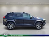 Used 2018 Jeep Cherokee Trailhawk w/ Quick Order Package 27L image 2