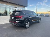Used 2023 Hyundai Santa Fe SEL image 5