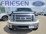 Used 2011 Ford F150 Lariat w/ Lariat Chrome Pkg image 2