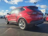 New 2025 Ford Escape ST-Line w/ Cold Weather Package image 5